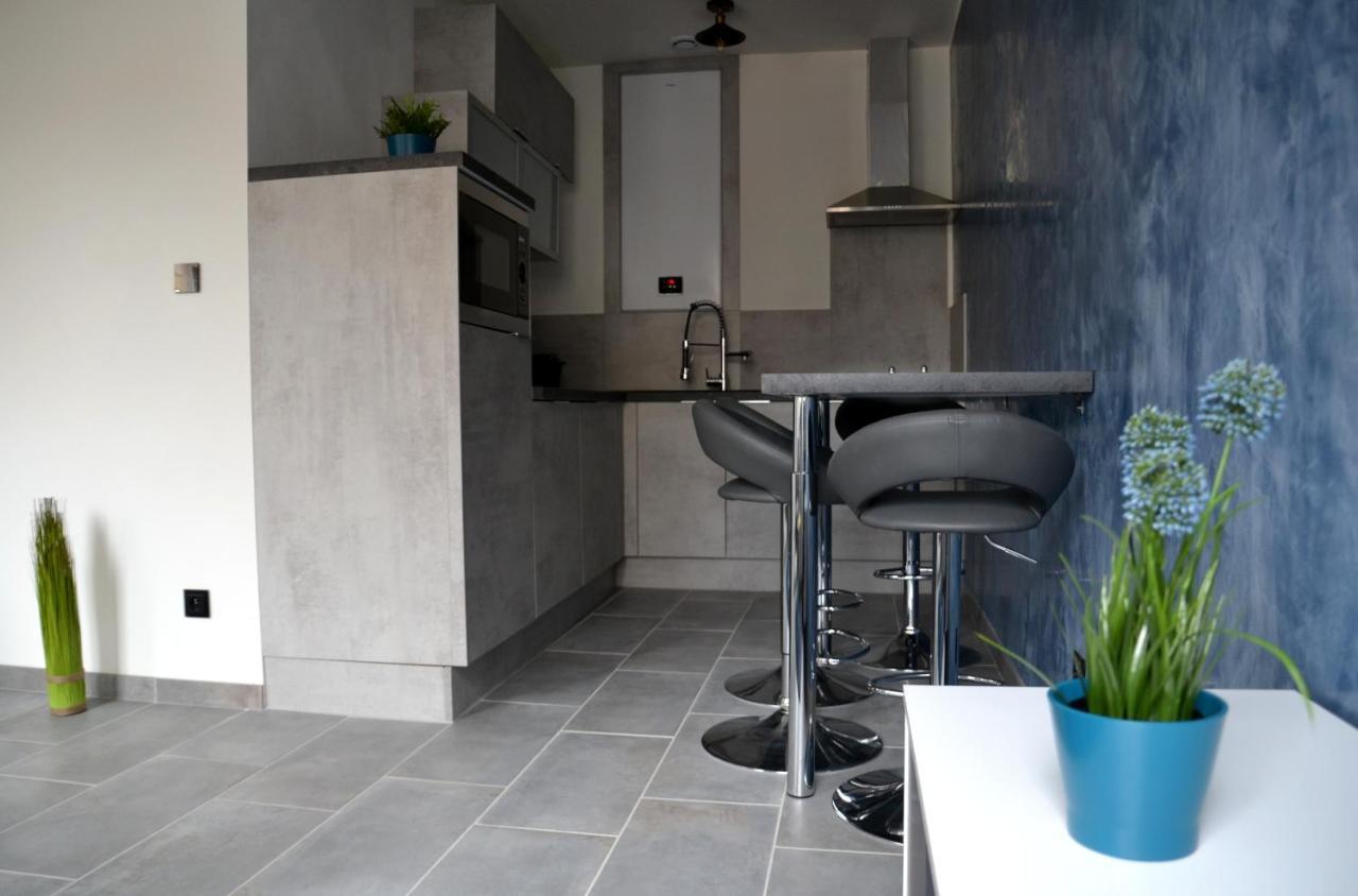 Le Cyclade, Appartement De Standing En Hyper-Centre. Sarreguemines Zewnętrze zdjęcie