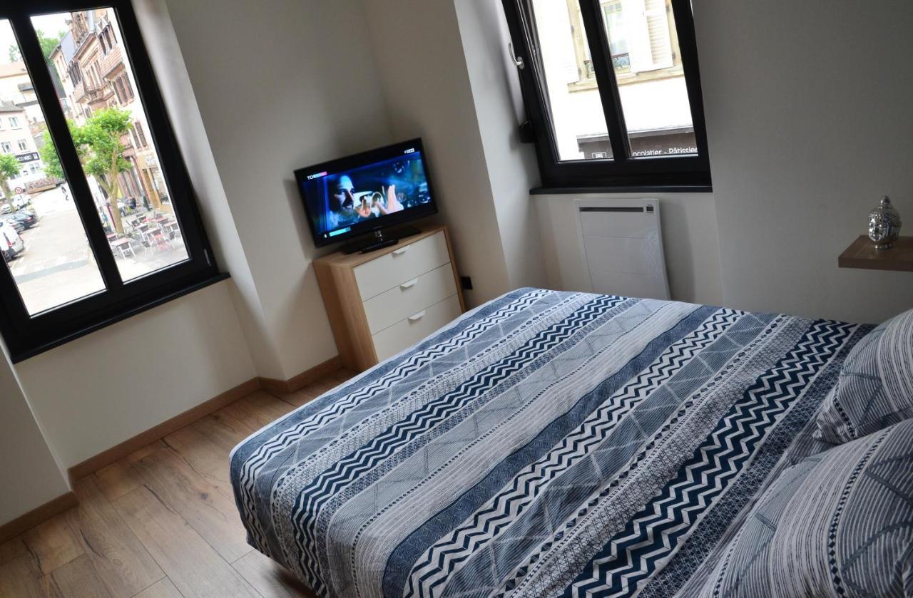 Le Cyclade, Appartement De Standing En Hyper-Centre. Sarreguemines Zewnętrze zdjęcie